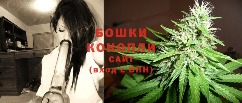 Бошки марихуана SATIVA & INDICA  Кологрив 